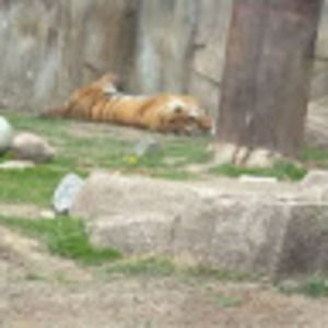 Meet your Posher, Audrinna